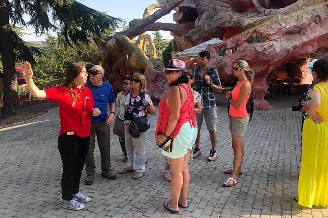 Panoramic City Tour Tbilisi - Tour Features