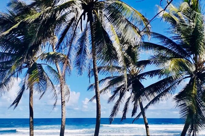 Panoramic Coastal Barbados Tour - Meeting and Pickup