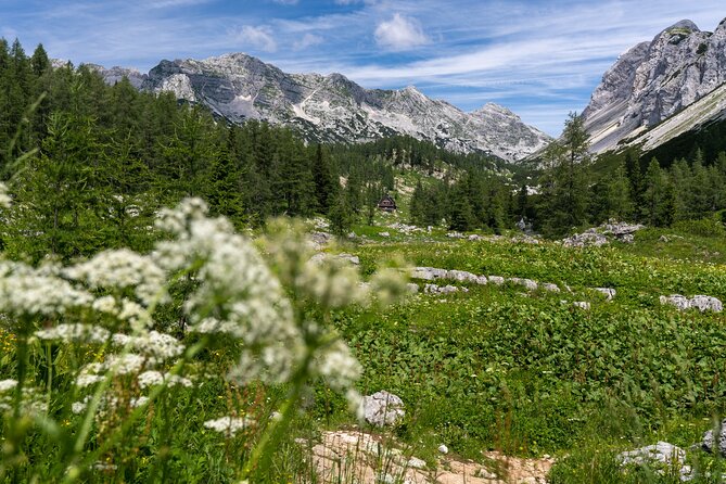 Panoramic Hike in Julian Alps - Experience Highlights