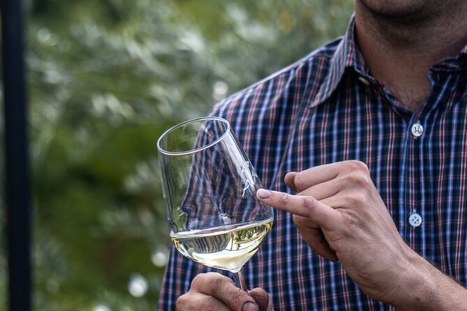 Panoramic Wine Tasting in Oltrepò Pavese - Schedule and Availability