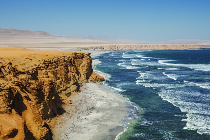 Paracas National Reserve Half Day Tour - What to Expect