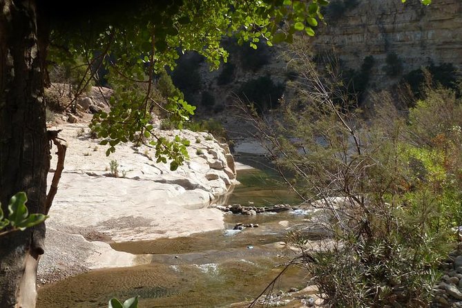 PARRADISE VALLEY 1/2 Day From 08:30am Till 13:00 - Experience Highlights
