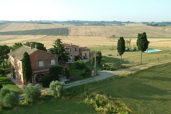 Pasta and Pizza Cooking Class in Cortona - Vegetarian and Vegan Focus