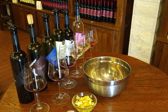 Peljesac Wine Private Day Trip From Dubrovnik - Group Size and Accessibility