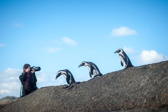 Peninsula Photography Tour - Itinerary and Photogenic Spots