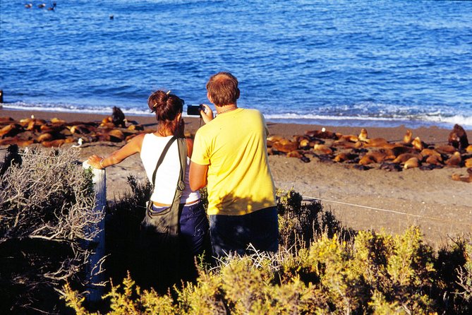 Peninsula Valdes Penguin Exploration & Punta Norte - Inclusions
