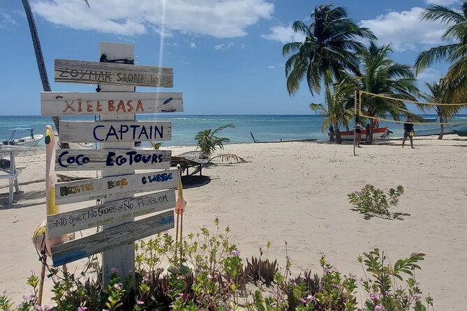 Personalized Premium Catamaran Boat From Punta Cana (Bávaro) - Booking Information