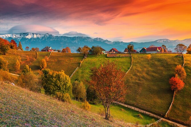Pestera and Magura Full-Day Private Walking Tour From Brasov - Tour Details