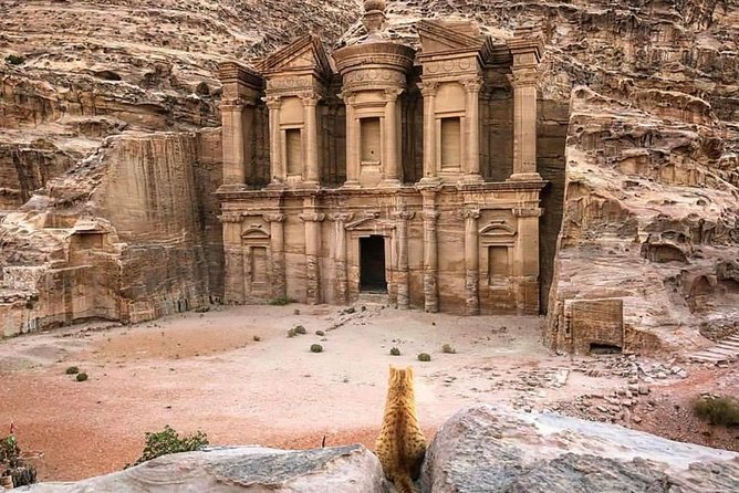 Petra Day Tour From Aqaba Port (Shore Excursion Petra) - JHT - Inclusions and Services