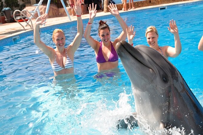 Photo Session With Dolphins With Transfer in Hurghada - Inclusions and Fees