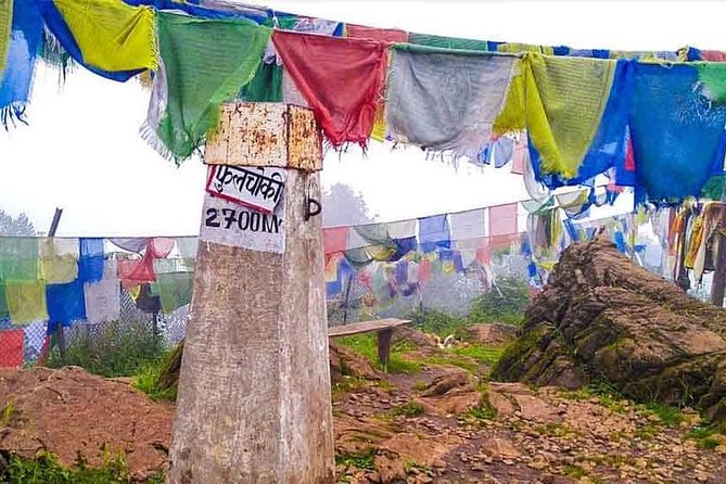 Phulchowki Day Hiking - What to Expect on the Trail