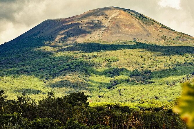 Picnic in the Vineyard on the Slopes of Vesuvius - Dining Options