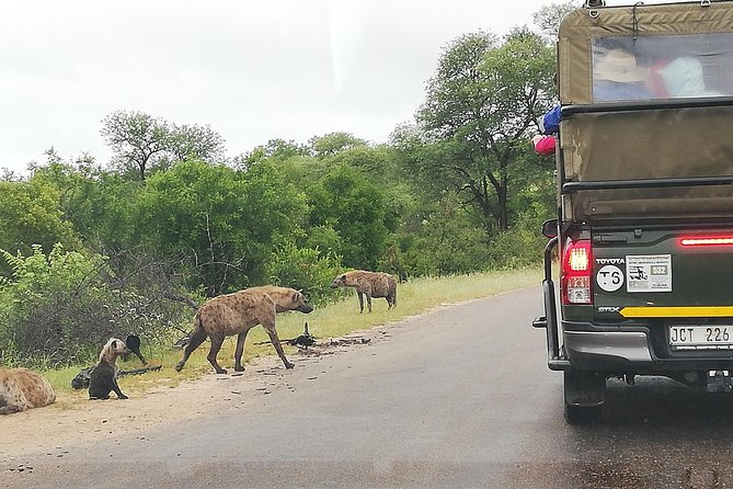 Pilanesberg Full Day Safari Private - Whats Included