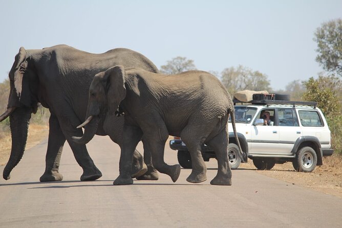 Pilanesberg National Park Safari, BIG 5 Full Day - Inclusions