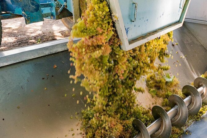 Pinot Noir & Pinot Wine Tour to Baden-Württemberg - Inclusions and Exclusions