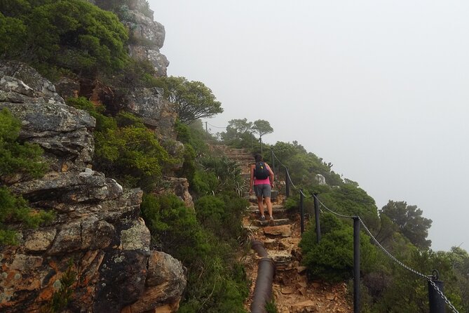 Pipetrack Hike for the Whole Family on Table Mountain - PRIVATE - Preparing for the Pipetrack Hike