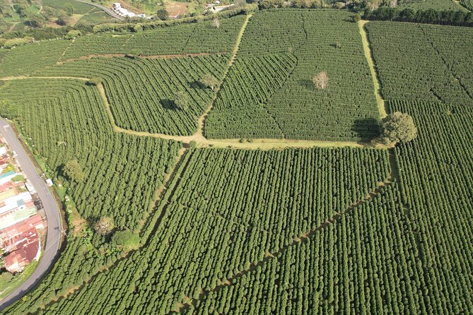 Poás Volcano With Coffee Tour From San Jose Costa Rica - Pickup and Drop-off Details