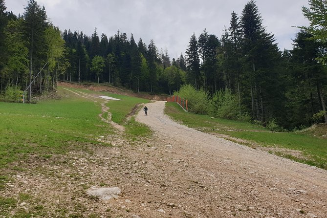 POIANA BRASOV and POSTAVARU CHALET Ebike Tour (Brasov) - Health and Safety Guidelines