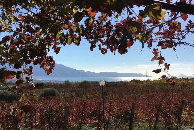 Pompeii, Food and Wine - Pickup and Meeting