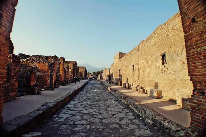 Pompeii Herculaneum and Winery Tour - Inclusions and Logistics