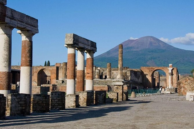 Pompeii Ruins & Wine Tasting With Lunch on Vesuvius With Private Transfer - Inclusions