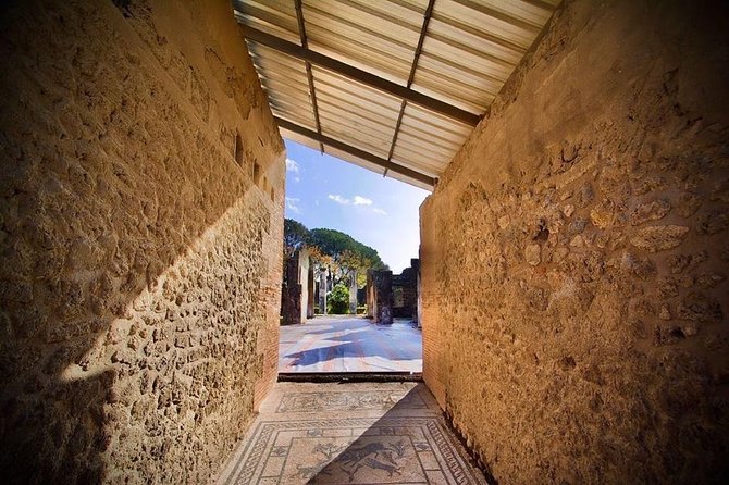 Pompeii Visit With Food and Wine Tasting Near Mt. Vesuvius - Exploring the Preserved City of Pompeii
