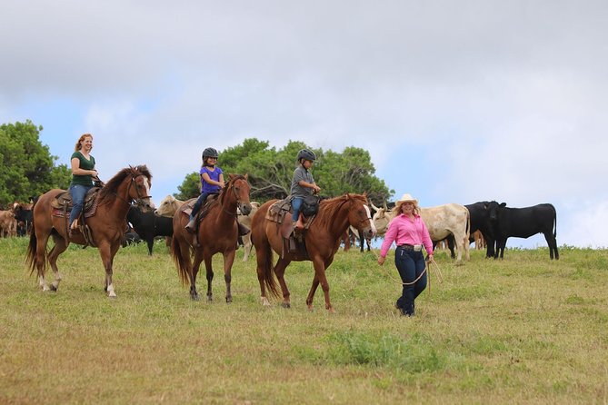 Pony Rides For Kids - Tour Details