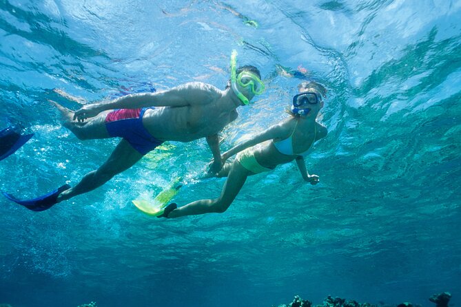 Poreč Panorama and Snorkeling Tour - Inclusions