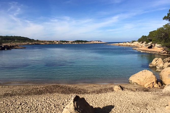 Port Des Torrent Catamaran Private Trip - Activity Duration and Schedule