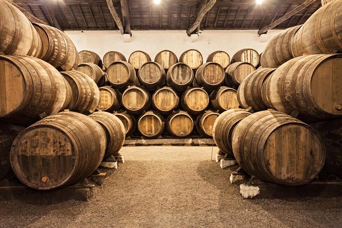 Porto City Tour With Wine Tasting - Included Features