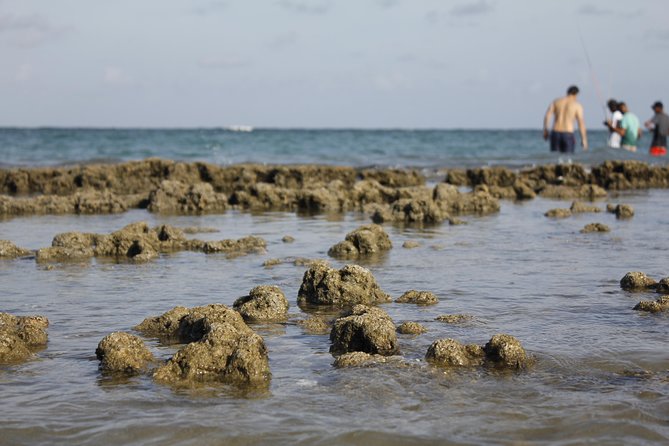 Porto De Galinhas Day Trip - Duration and Pickup Details