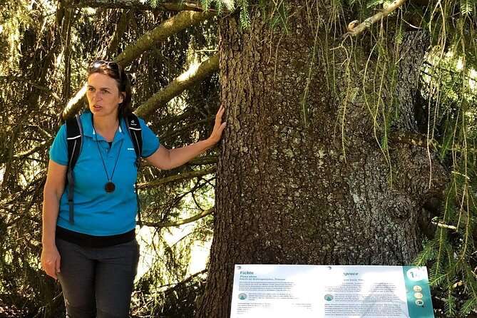 Power of Trees Private Tasting Tour - Booking Information
