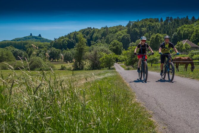 Prague E-Mountain Biking Adventure In The Bohemian Paradise - Traveler Experiences and Insights