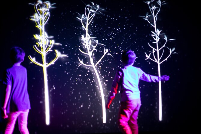 Prague Lumia Light Show With Gallery Ticket - Location and Timing