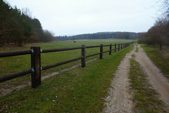 Prague to Karlstejn Trail Running Tour - Physical Fitness Requirements