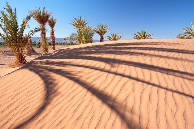 Premium Red Dunes Safari and Camel Safari With BBQ Dinner - Traditional Barbecue Dinner