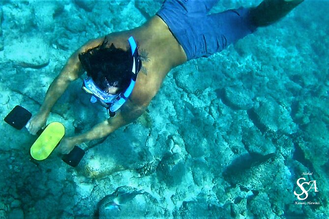 Princeville - Snorkeling Shore Excursion - Excursion Highlights and Features