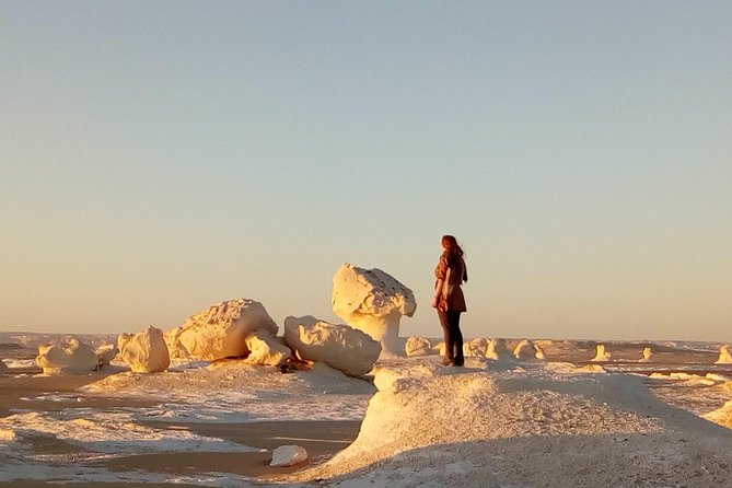 Privat White Desert and Bahariya Oasis 2 Days With Camping - Accommodation and Campsite