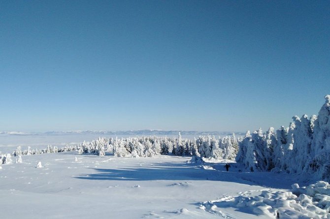 Private 2-Day Trip With Snowshoes - Transportation and Pickup Options