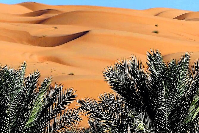 Private 2 Days 1 Night Wahiba Sands Desert and Wadi Bani Khalid Tour - Included in the Tour