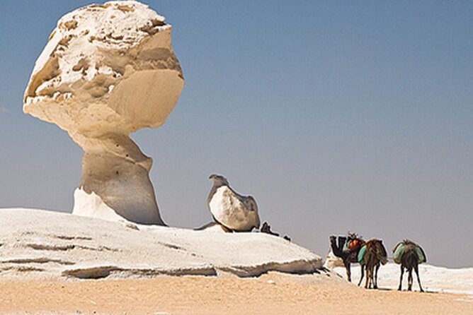 Private 2 Days Jeep Safari to White Desert and Bahariya Oasis - Discovering the Stunning Black Desert