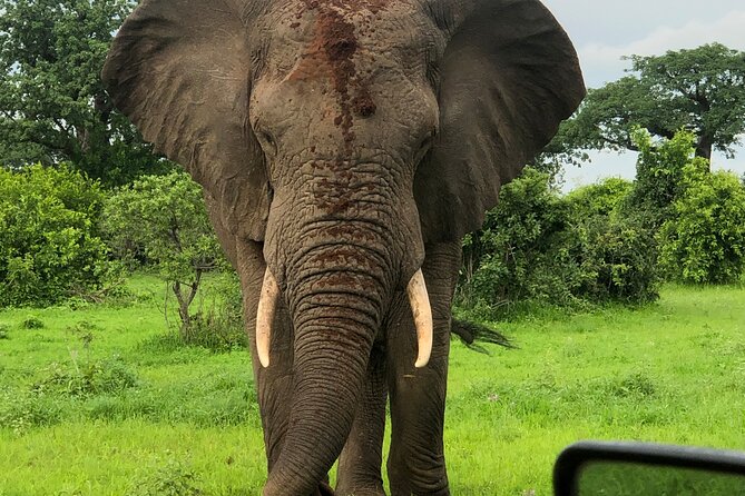 Private 3 Days 2 Nights Mikumi Adventures - Wildlife Spotting Opportunities