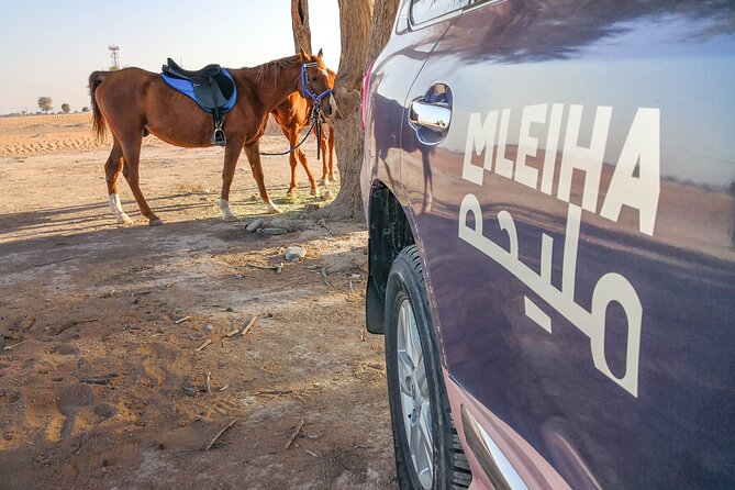 Private 4x4 Mleiha Desert Safari Horse Riding With Museum Visit - Exciting Desert Activities