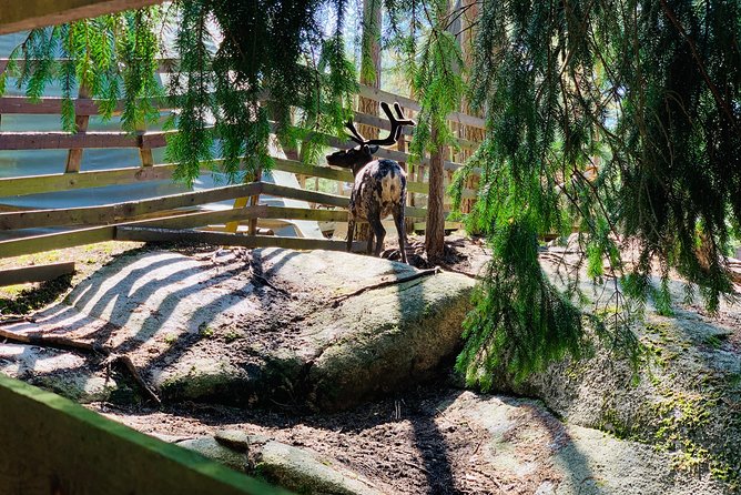 PRIVATE Adventure To The REINDEER Park by VIP Car - Highlights of the Adventure
