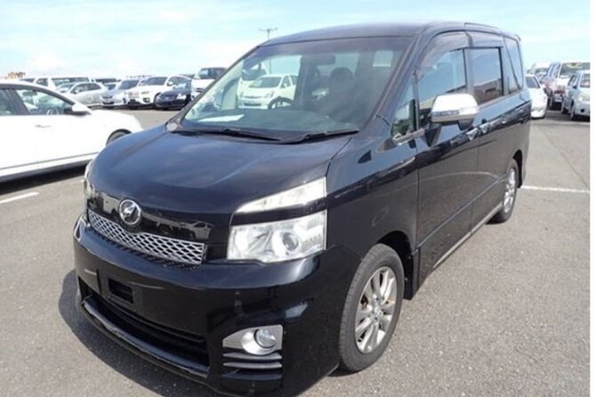Private Airport Transfer From MBJ to RIU Montego Bay & Reggae - Accessibility Features