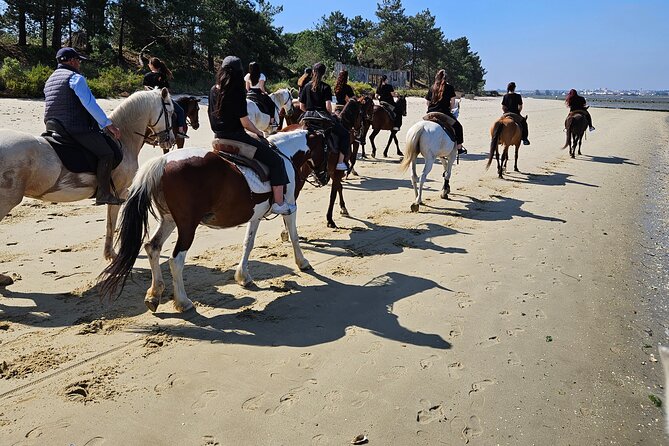 Private Bachelorette Party With Horseback Riding on the Beach - Meeting and Pickup Details