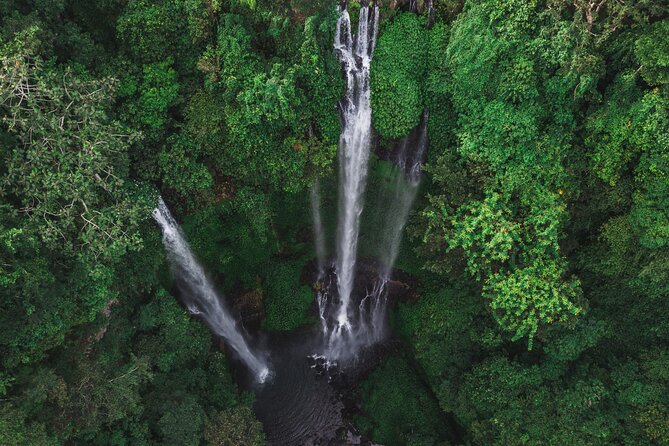 Private Balis North Sacred Sites and Idyllic Nature Exploration - Exploring Idyllic Nature