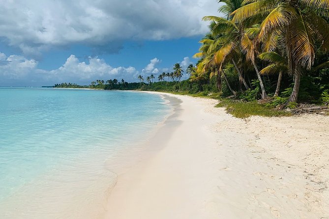 Private Boat Nature Tour of Saona Island - Pickup Information