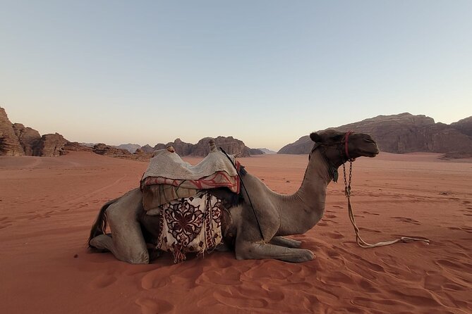 Private Camel Ride Sunset View at Wadi Rum - Meeting and Pickup Details