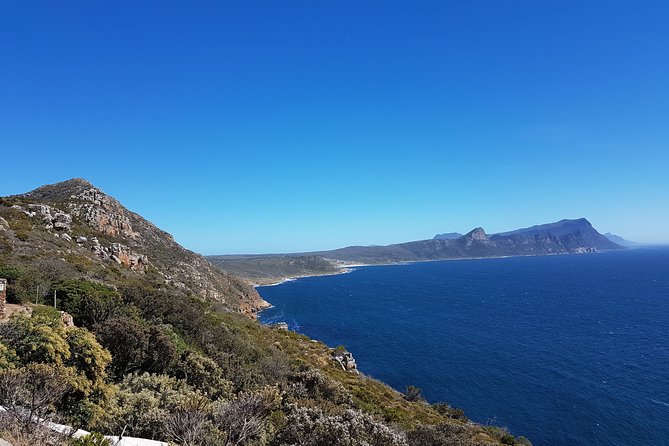 Private Cape Peninsula Tour - Cape Point, Cape of Good Hope Sightseeing - Customizable Itinerary Options